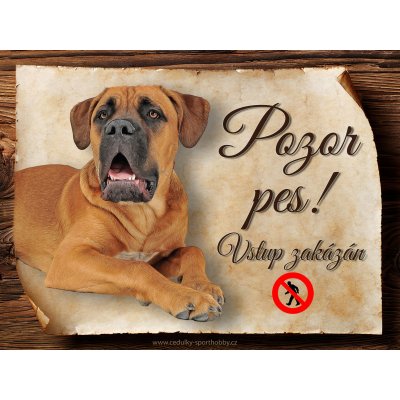 Sport hobby Cedulka Cane Corso II Pozor pes zákaz CP1656 15x11 – Zboží Mobilmania