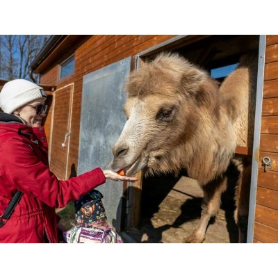 VIP vstup do Zoo Tábor s ošetřovatelem až pro 4 osoby – Hledejceny.cz
