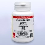 Sinecura Moruše list Sangye instantní prášek 20 g – Hledejceny.cz