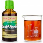 Bylinné kapky Jestřábník nať tinktura 50 ml – Hledejceny.cz
