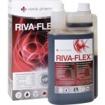 Roxia Pharma RIVA-FLEX kloubní výživa 1 l – Hledejceny.cz