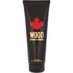 Dsquared2 Wood toaletní voda pánská 50 ml – Hledejceny.cz