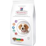 Hill’s Puppy Medium 2 kg – Hledejceny.cz