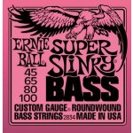 Ernie Ball 2834 – Zboží Dáma