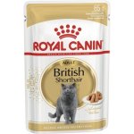 Royal Canin FBN British Shorthair 85 g – Hledejceny.cz