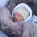 Esito Soft 4v1 Aljaška 110 x 49 cm hnědý – Sleviste.cz