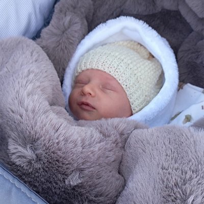 Esito Soft 4v1 Aljaška 110 x 49 cm hnědý – Sleviste.cz