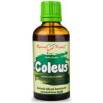 Bylinné kapky Pavlovy bylinné kapky Coleus tinktura 50 ml – Hledejceny.cz
