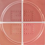Givenchy Tvářenka Prisme Libre Blush 04 Organza Sienne 6 g – Sleviste.cz