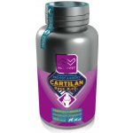 Altervet Cartilan Nutri K2+D3 100 tbl – Hledejceny.cz