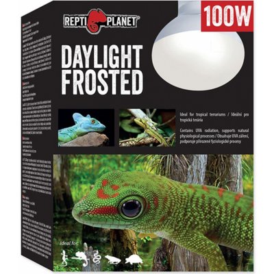 Repti Planet Daylight Frosted 100 W 007-41024 – Zboží Mobilmania