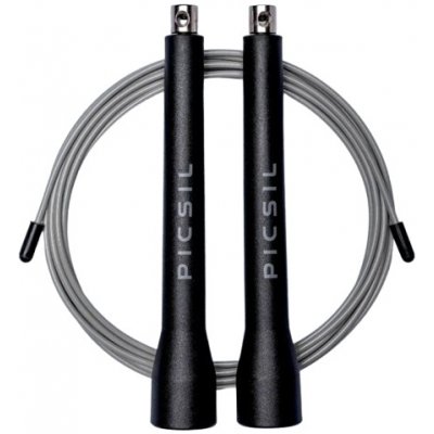 PICSIL ABS FY26 – Sleviste.cz