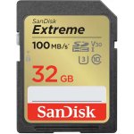 sanDisk SDHC UHS-I U3 32 GB SDSDXVT-032G-GNCIN – Hledejceny.cz