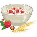 Les fruits du Paradis Kaše BIO natural maliny a hořká čokoláda 250 g – Zboží Dáma