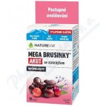 Swiss NatureVia Mega brusinky Akut 15 kapslí – Hledejceny.cz