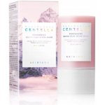 Skin1004 Madagascar Centella Poremizing Quick Clay Stick Mask 27 g – Zbozi.Blesk.cz