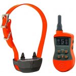 Elektronický obojok SportDOG 500m Tréner – Zboží Dáma