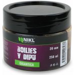 Karel Nikl Nikl Boilies v dipu Gigantica 24 mm 250 g – Hledejceny.cz