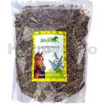 Stiefel Gastrophyt byliny pro zažívání střeva 1 kg – Hledejceny.cz