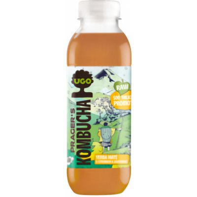 UGO Kombucha Yerba maté Citrón zázvor 0,5 l – Zboží Dáma