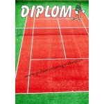 VIZINGR Tenis diplom A4 č.67 Tenis č.67 BEZ TEXTU – Zboží Dáma