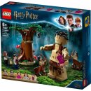  LEGO® Harry Potter™ 75967 Zapovězený les: Setkání Drápa a profesorky Umbridgeové