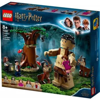 LEGO® Harry Potter™ 75967 Zapovězený les: Setkání Drápa a profesorky Umbridgeové