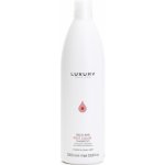Green Light Luxury Back Bar Post Color Shampoo 1000 ml – Hledejceny.cz
