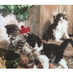 Ubrousek 33x33cm Koťátka – Hledejceny.cz