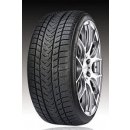 Gripmax Status Pro Winter 265/35 R21 101V