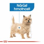 Royal Canin Mini Light Weight Care 3 kg – Zboží Mobilmania
