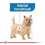 Royal Canin Mini Light Weight Care 3 kg – Sleviste.cz