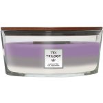 WoodWick Trilogy Amethyst Sky 453,6 g – Zboží Mobilmania