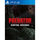 Hra na PS4 Predator: Hunting Grounds