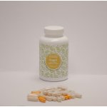 Ondřej Ullrich Guggul Aloe šalvěj kurkumin 180 tablet – Hledejceny.cz