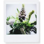 Fujifilm Instax Square 10ks – Zboží Živě