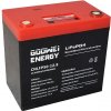 Olověná baterie GOOWEI ENERGY CNLFP50-12.8 12,8 V 50 Ah