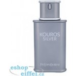 Yves Saint Laurent Kouros Silver toaletní voda pánská 100 ml – Sleviste.cz