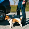 Potřeby pro cestování se psem Trixie Bezpečnostní pás do auta pro psa 45–70 cm 30 mm