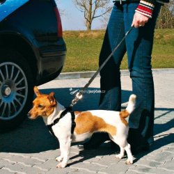 Trixie Bezpečnostní pás do auta pro psa 45–70 cm 30 mm