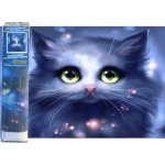 Norimpex Diamantové malování Šedé kotě 30 x 40 cm – Zboží Mobilmania