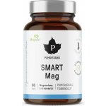 Puhdistamo Smart Mag Magtein 90 kapslí – Hledejceny.cz