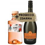 JUNE BY GVINE PEACH GIN 37,5% 0,7 l (holá) – Sleviste.cz