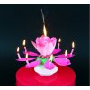Dortová svíčka a fontána Godan Fontána na dort se svíčkami tančí a hraje růžová