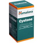 Himalaya Cystone 100 tablet – Zbozi.Blesk.cz