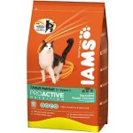 Iams ProActive Health Adult Hairball Care 3 kg – Hledejceny.cz