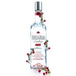 Finlandia Cranberry 37,5% 1 l (holá láhev) – Zboží Dáma