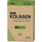 Vitar EKO Kolagen forte 60 kapslí – Hledejceny.cz
