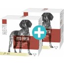 Antiparazitika pro psy Pet Health Care Fytopipeta pes od 20 kg 6 x 10 ml