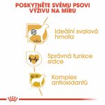 Royal Canin Boxer Adult 12 kg – Sleviste.cz